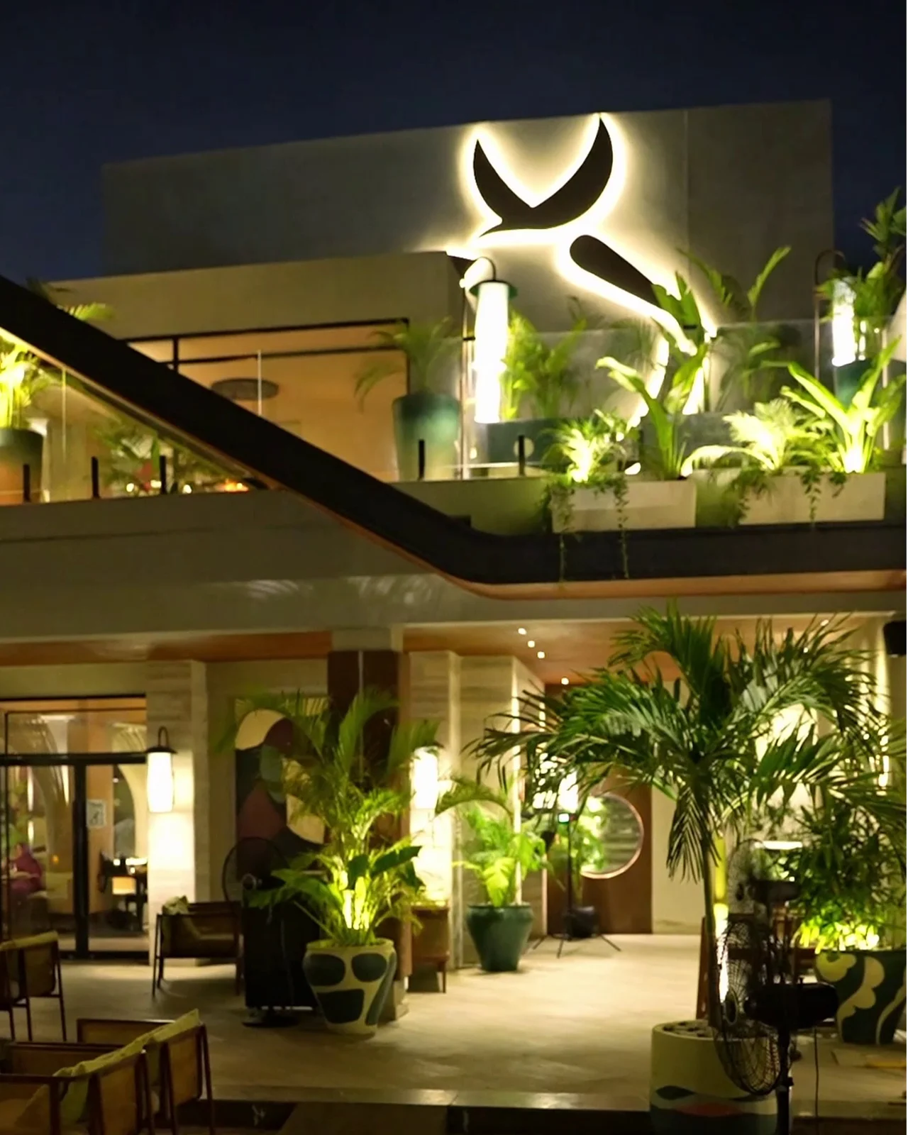 Ktore Ambiance 3