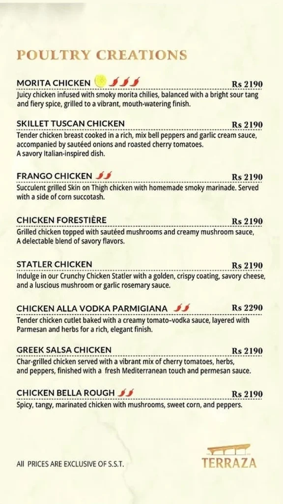 Terraza Karachi Menu 10
