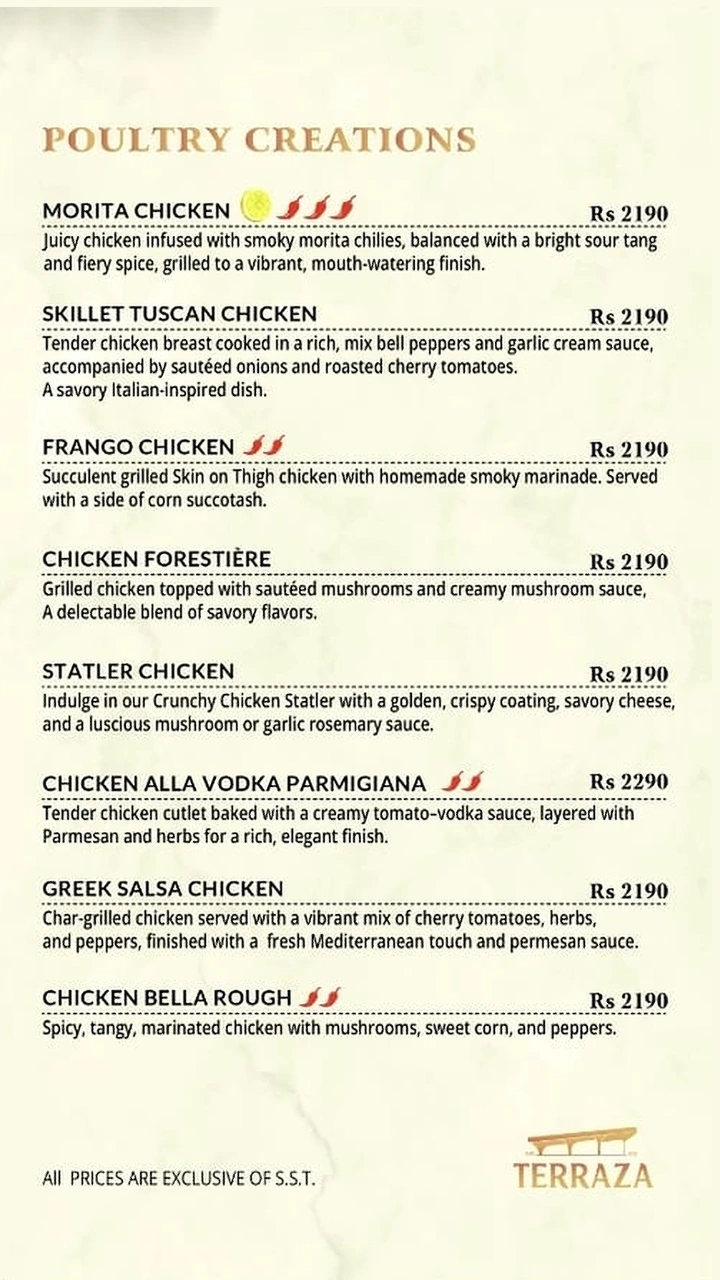 Terraza Karachi Menu 10