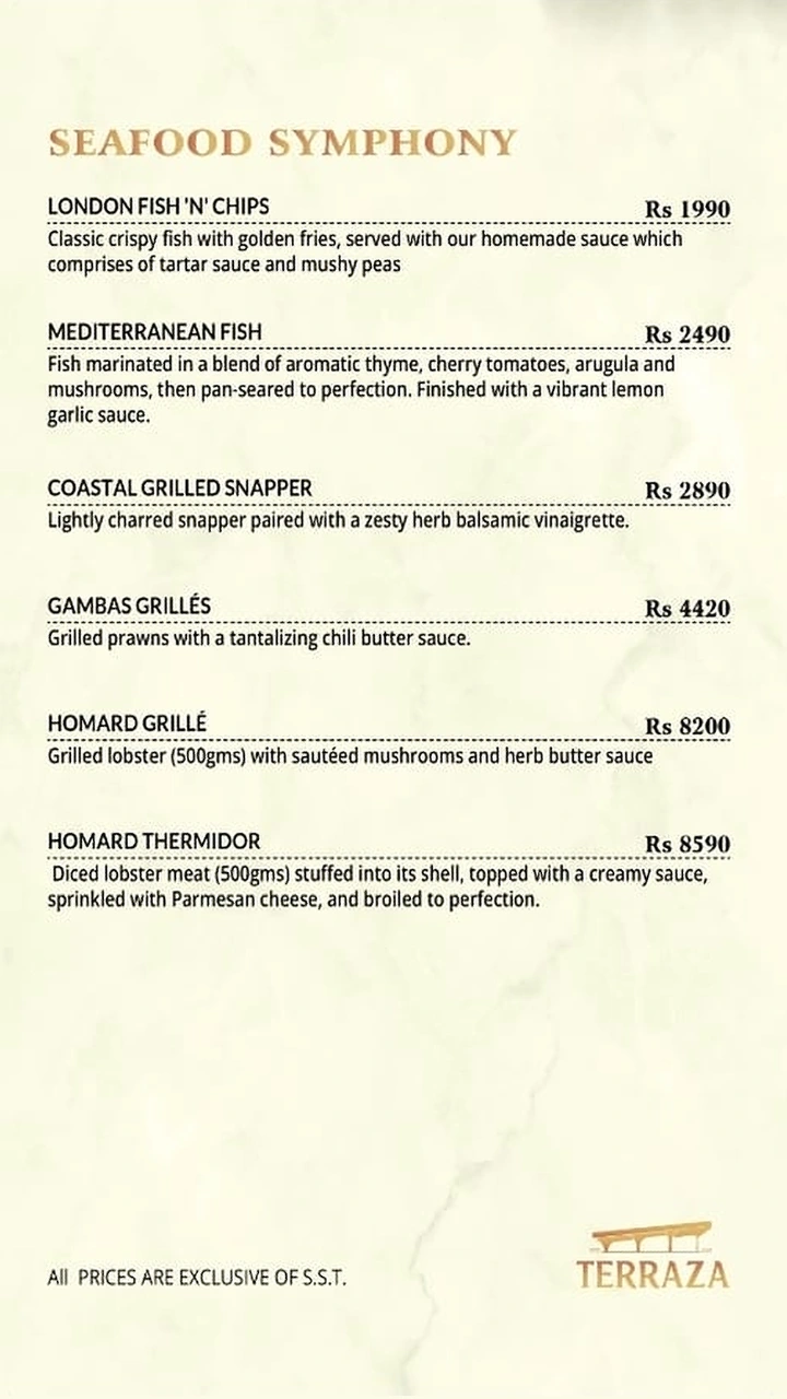 Terraza Karachi Menu 9